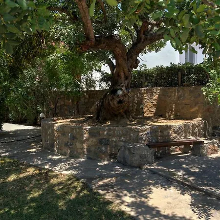 Villa Armonia With Sea View Plakias