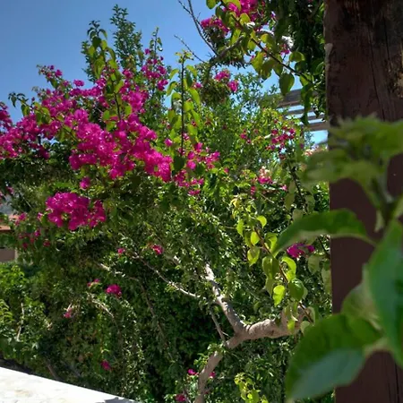 Armonia With Sea View Villa Plakias