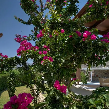 Villa Armonia With Sea View Plakias